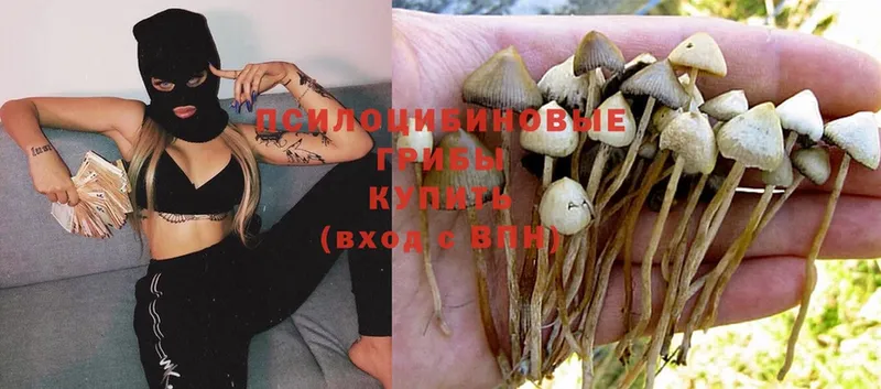 Псилоцибиновые грибы Magic Shrooms  как найти наркотики  omg зеркало  Серов 